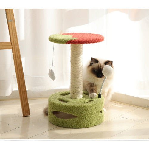 🐾 برج تسلّق القط الصغير